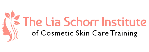 The Lia Schorr Institute